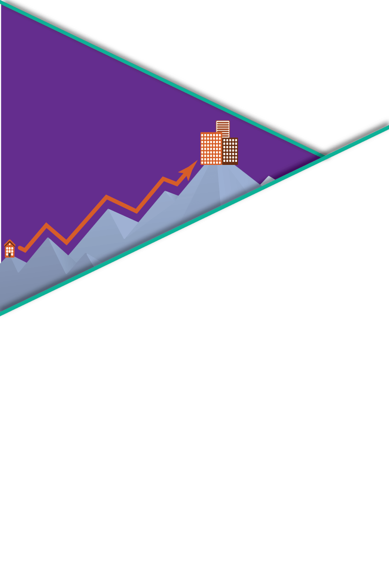 Timeline Arrow 2016