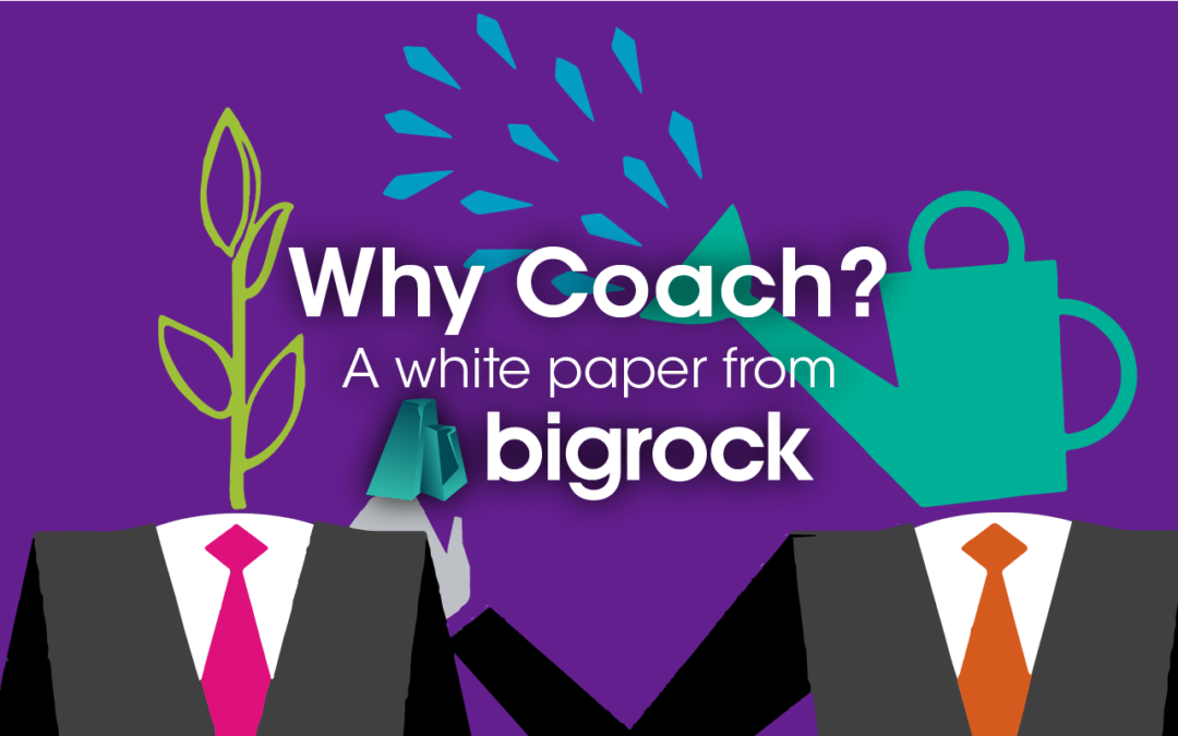 Why Coach? Exploring the Effectiveness of Coaching & Different Coaching Styles