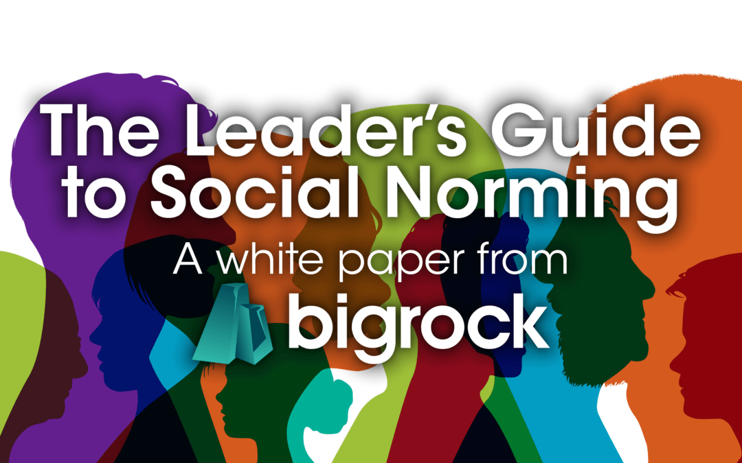 The Leader’s Guide to Social Norming: Inspiring the right behaviours through positive social norms